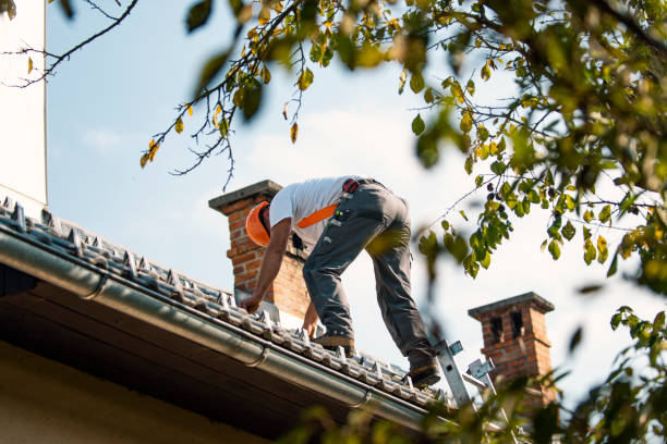Roof Gutter Cleaning in Lighthouse Point, FL
